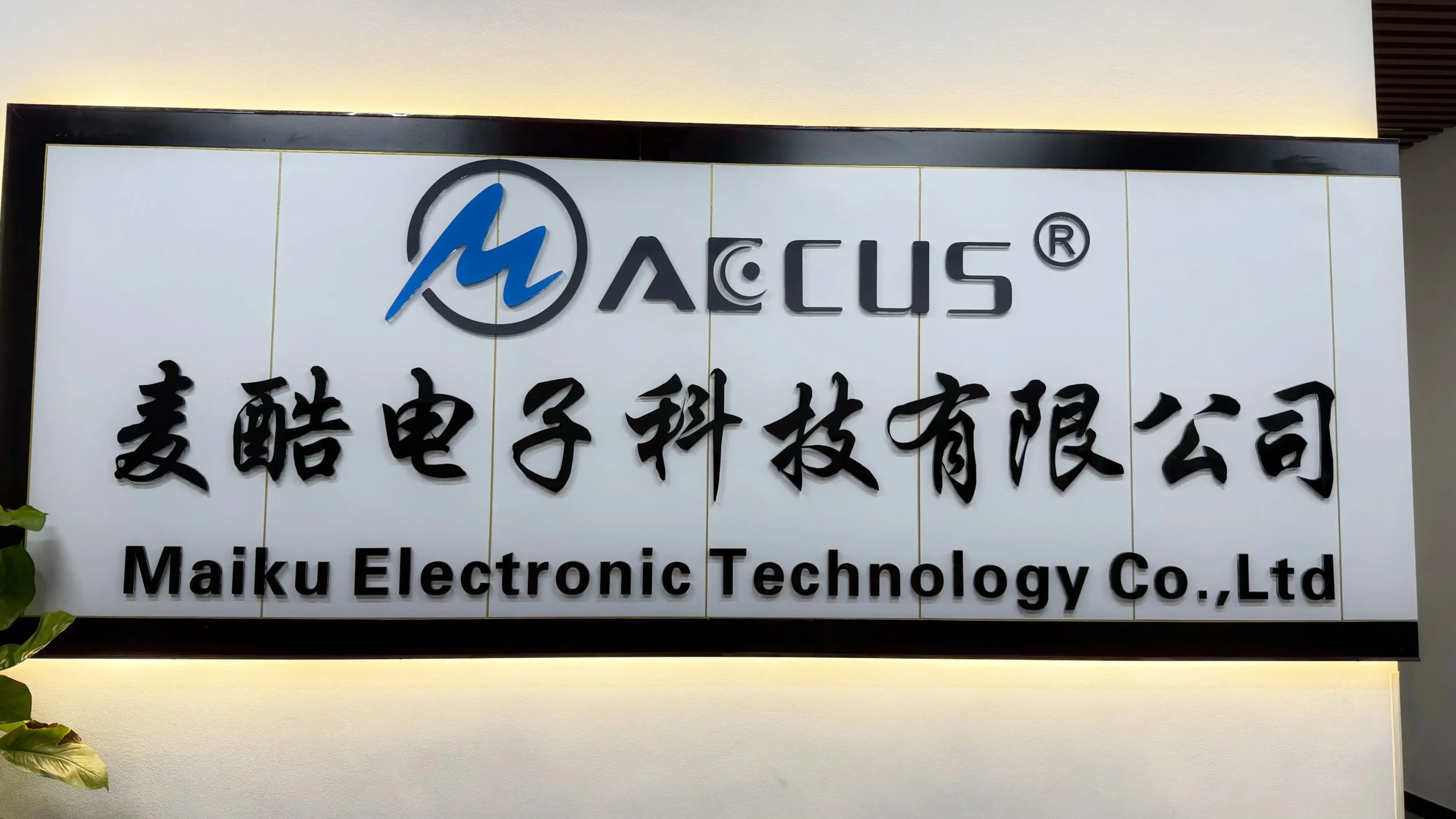 Maiku Electronic (Maccus) Factory Exterior in Enping